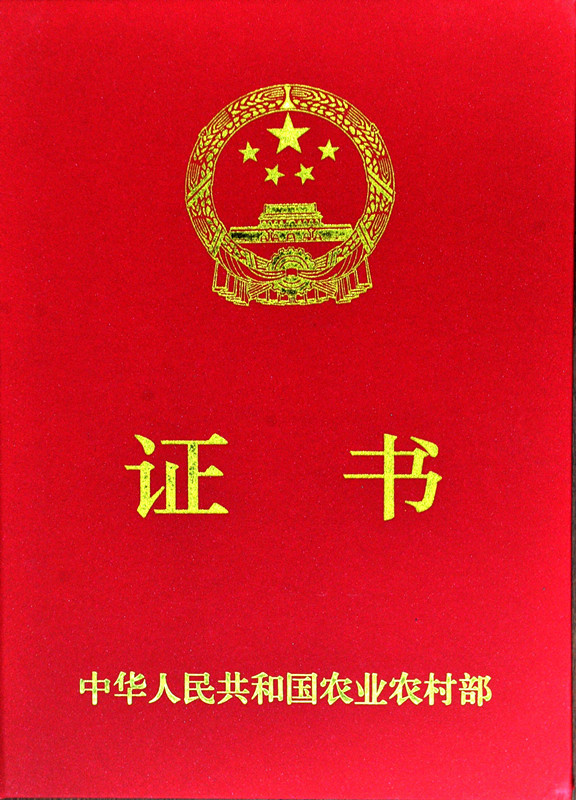 证书01.jpg
